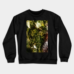 Full bunch Crewneck Sweatshirt